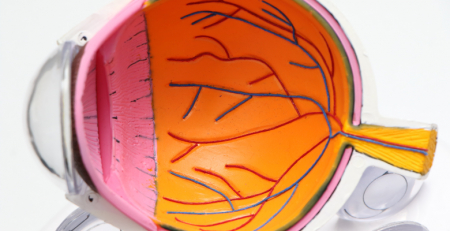 Células estaminais do cordão umbilical permitem melhorar visão de pessoas com doença ocular