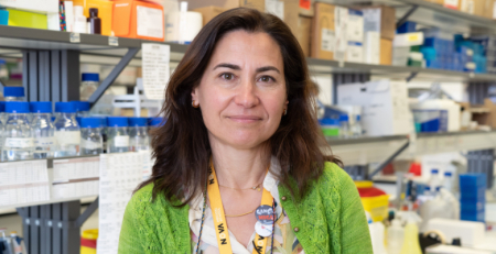 Avanços na investigação das doenças da retina: NOVA Medical School aposta em diagnóstico precoce e novas terapias