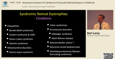 Complexidade e multidisciplinaridade na abordagem às distrofias retinianas sindrómicas