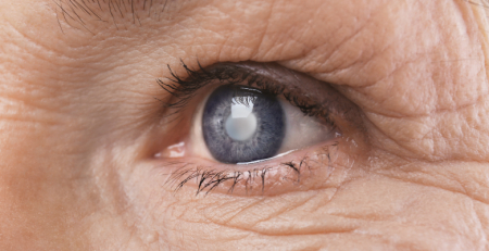 Fórum Económico Mundial distingue projeto português na área da Oftalmologia