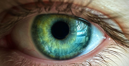 Investigadores de Coimbra mostram impacto de terapia génica em doença da retina